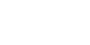 Google Partner